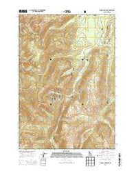 Tyndall Meadows Idaho Current topographic map, 1:24000 scale, 7.5 X 7.5 Minute, Year 2013
