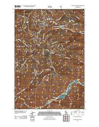 Ulysses Mountain Idaho Historical topographic map, 1:24000 scale, 7.5 X 7.5 Minute, Year 2011