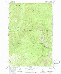 Wahoo Peak Idaho Historical topographic map, 1:24000 scale, 7.5 X 7.5 Minute, Year 1966