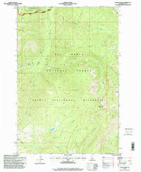 Wahoo Peak Idaho Historical topographic map, 1:24000 scale, 7.5 X 7.5 Minute, Year 1995