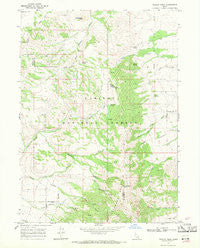 Wakley Peak Idaho Historical topographic map, 1:24000 scale, 7.5 X 7.5 Minute, Year 1968