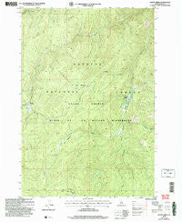 Wapiti Creek Idaho Historical topographic map, 1:24000 scale, 7.5 X 7.5 Minute, Year 2004