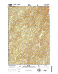 Wapiti Creek Idaho Current topographic map, 1:24000 scale, 7.5 X 7.5 Minute, Year 2013