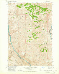 Wapshilla Creek Idaho Historical topographic map, 1:24000 scale, 7.5 X 7.5 Minute, Year 1963