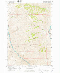 Wapshilla Creek Idaho Historical topographic map, 1:24000 scale, 7.5 X 7.5 Minute, Year 1963