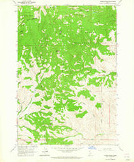 Wards Butte Idaho Historical topographic map, 1:24000 scale, 7.5 X 7.5 Minute, Year 1963