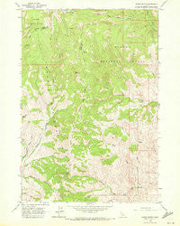 Wards Butte Idaho Historical topographic map, 1:24000 scale, 7.5 X 7.5 Minute, Year 1963