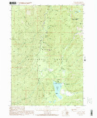 Warm Lake Idaho Historical topographic map, 1:24000 scale, 7.5 X 7.5 Minute, Year 1988