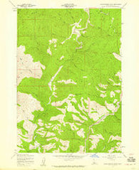Warm Springs Point Idaho Historical topographic map, 1:24000 scale, 7.5 X 7.5 Minute, Year 1957