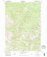 Warm Springs Point Idaho Historical topographic map, 1:24000 scale, 7.5 X 7.5 Minute, Year 1957