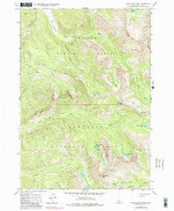 Washington Peak Idaho Historical topographic map, 1:24000 scale, 7.5 X 7.5 Minute, Year 1964