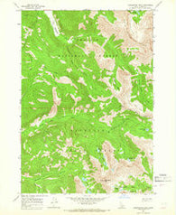 Washington Peak Idaho Historical topographic map, 1:24000 scale, 7.5 X 7.5 Minute, Year 1964