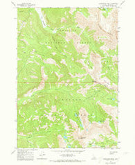 Washington Peak Idaho Historical topographic map, 1:24000 scale, 7.5 X 7.5 Minute, Year 1964