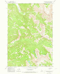 Washington Peak Idaho Historical topographic map, 1:24000 scale, 7.5 X 7.5 Minute, Year 1964