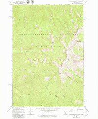 Watchtower Peak Idaho Historical topographic map, 1:24000 scale, 7.5 X 7.5 Minute, Year 1966