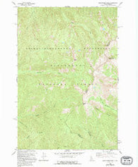 Watchtower Peak Idaho Historical topographic map, 1:24000 scale, 7.5 X 7.5 Minute, Year 1966