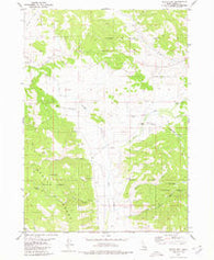 Wayan East Idaho Historical topographic map, 1:24000 scale, 7.5 X 7.5 Minute, Year 1980