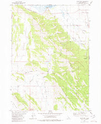 Wayan West Idaho Historical topographic map, 1:24000 scale, 7.5 X 7.5 Minute, Year 1980
