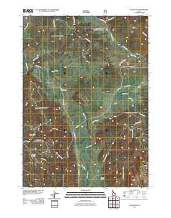 Wayan East Idaho Historical topographic map, 1:24000 scale, 7.5 X 7.5 Minute, Year 2011