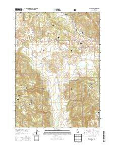 Wayan East Idaho Current topographic map, 1:24000 scale, 7.5 X 7.5 Minute, Year 2013