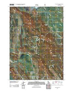 Wayan West Idaho Historical topographic map, 1:24000 scale, 7.5 X 7.5 Minute, Year 2011