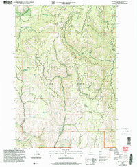 Weasel Gulch Idaho Historical topographic map, 1:24000 scale, 7.5 X 7.5 Minute, Year 2004