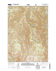 Weasel Gulch Idaho Current topographic map, 1:24000 scale, 7.5 X 7.5 Minute, Year 2013