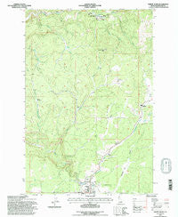 Weippe North Idaho Historical topographic map, 1:24000 scale, 7.5 X 7.5 Minute, Year 1994