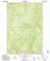 Weitas Butte Idaho Historical topographic map, 1:24000 scale, 7.5 X 7.5 Minute, Year 1994