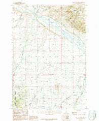 West of Leadore Idaho Historical topographic map, 1:24000 scale, 7.5 X 7.5 Minute, Year 1987
