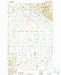 West of Leadore Idaho Historical topographic map, 1:24000 scale, 7.5 X 7.5 Minute, Year 1987