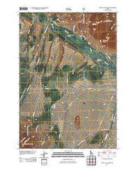 West of Leadore Idaho Historical topographic map, 1:24000 scale, 7.5 X 7.5 Minute, Year 2011