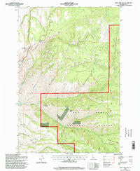 White Bird Hill Idaho Historical topographic map, 1:24000 scale, 7.5 X 7.5 Minute, Year 1995