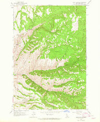 White Bird Hill Idaho Historical topographic map, 1:24000 scale, 7.5 X 7.5 Minute, Year 1963