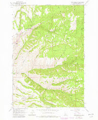 White Bird Hill Idaho Historical topographic map, 1:24000 scale, 7.5 X 7.5 Minute, Year 1963