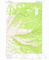 White Bird Hill Idaho Historical topographic map, 1:24000 scale, 7.5 X 7.5 Minute, Year 1963