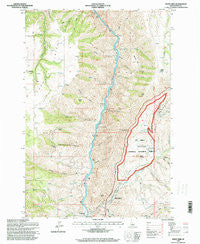 White Bird Idaho Historical topographic map, 1:24000 scale, 7.5 X 7.5 Minute, Year 1995