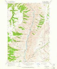 White Bird Idaho Historical topographic map, 1:24000 scale, 7.5 X 7.5 Minute, Year 1963