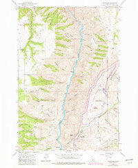 White Bird Idaho Historical topographic map, 1:24000 scale, 7.5 X 7.5 Minute, Year 1963
