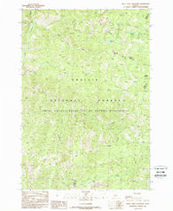 White Goat Mountain Idaho Historical topographic map, 1:24000 scale, 7.5 X 7.5 Minute, Year 1989