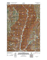 White Bird Idaho Historical topographic map, 1:24000 scale, 7.5 X 7.5 Minute, Year 2010