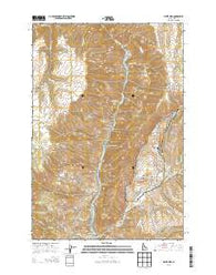 White Bird Idaho Current topographic map, 1:24000 scale, 7.5 X 7.5 Minute, Year 2013
