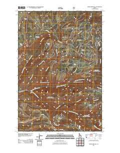 White Bird Hill Idaho Historical topographic map, 1:24000 scale, 7.5 X 7.5 Minute, Year 2011