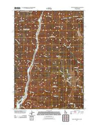 White Monument Idaho Historical topographic map, 1:24000 scale, 7.5 X 7.5 Minute, Year 2011