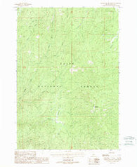 Whitehawk Mountain Idaho Historical topographic map, 1:24000 scale, 7.5 X 7.5 Minute, Year 1988