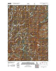 Whitehawk Mountain Idaho Historical topographic map, 1:24000 scale, 7.5 X 7.5 Minute, Year 2011
