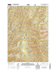 Whitehawk Mountain Idaho Current topographic map, 1:24000 scale, 7.5 X 7.5 Minute, Year 2013