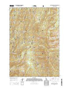 Whitehawk Mountain Idaho Current topographic map, 1:24000 scale, 7.5 X 7.5 Minute, Year 2013