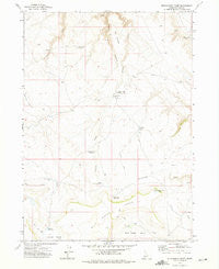 Wickahoney Point Idaho Historical topographic map, 1:24000 scale, 7.5 X 7.5 Minute, Year 1972