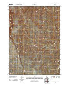 Wickahoney Crossing Idaho Historical topographic map, 1:24000 scale, 7.5 X 7.5 Minute, Year 2010